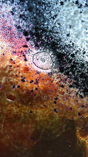 Floris van Tetterode - Zonder Titel kopen? Bied vanaf 35!