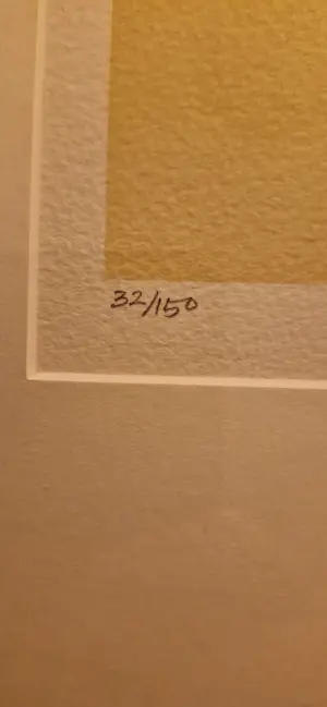 Ramesh Darji - 10 jaar integer information kopen? Bied vanaf 50!