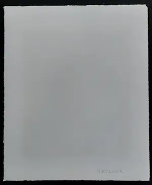 Corneille - Femme avec cheval et oiseau près d'un volcan kopen? Bied vanaf 200!