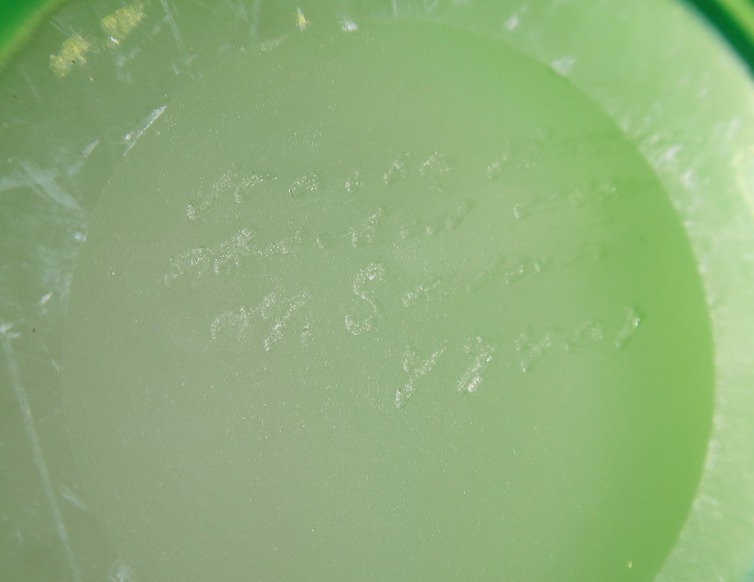 Kosta Boda - Glas, Groen gestreepte vaas kopen? Bied vanaf 1!