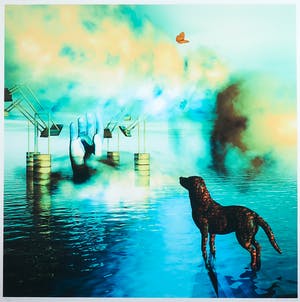 Arturo - Zeefdruk, Vlinders - Ingelijst kopen? Bied vanaf 20!