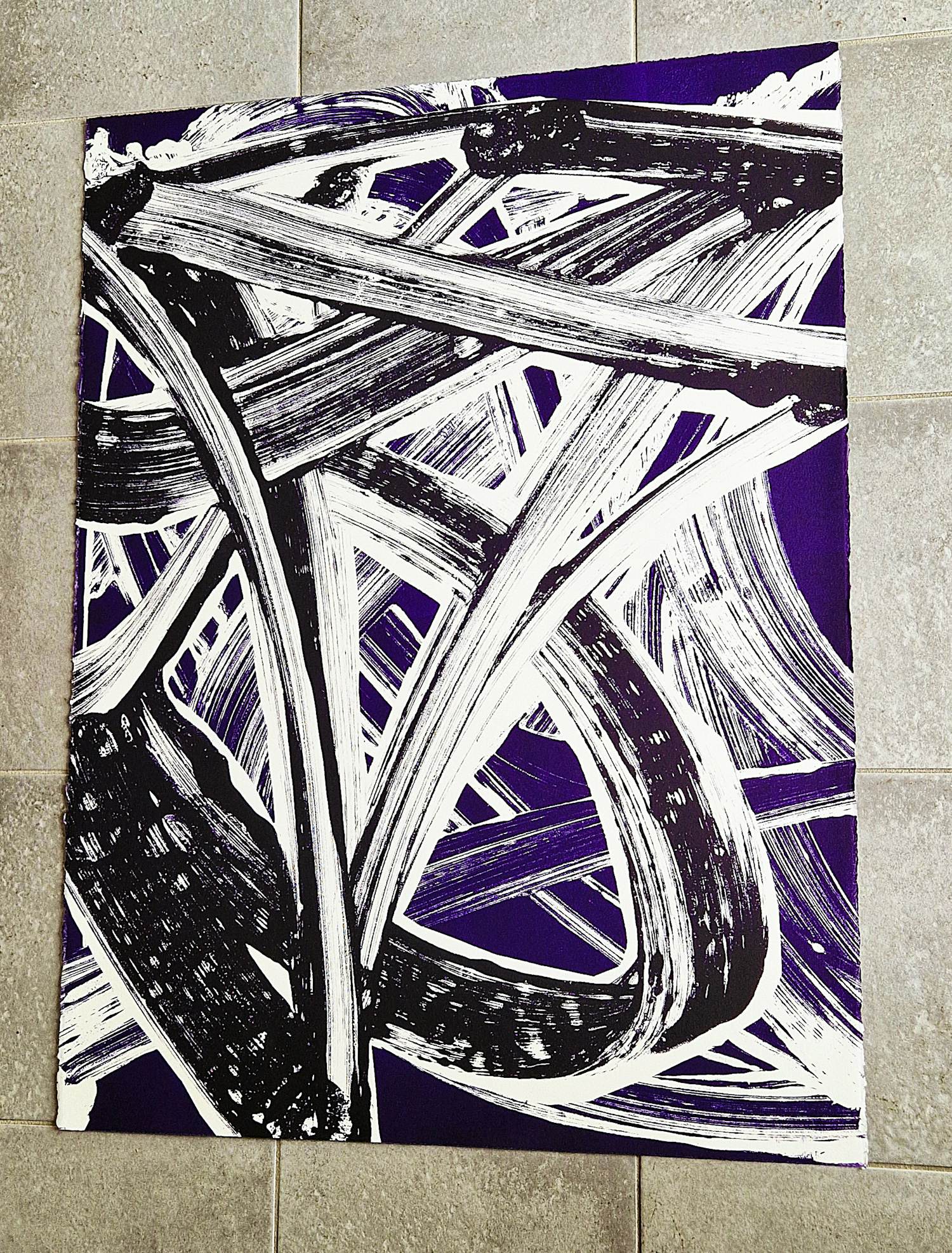 Robert Zandvliet - Grote kleuren-lithografie "Fly-over series" - beperkte oplage - in nieuwstaat! kopen? Bied vanaf 268!