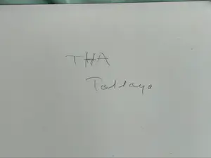 Jan Montyn - THA, Patlaya kopen? Bied vanaf 75!