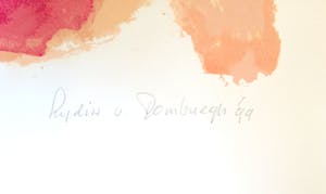 Lydia van Domburgh - Observatie kopen? Bied vanaf 30!