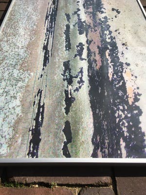 Filippa de Boer - Genummerd op de achterzijde F69 kopen? Bied vanaf 50!