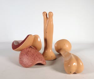 Merijn Bolink - Beschilderd polyester, The Pentasexual System (incl. gesigneerd boek) kopen? Bied vanaf 50!