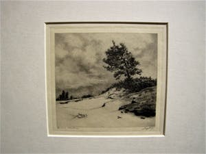 Dirk Harting - Meesterlijk Etser - Willink van Collenprijs 1913 - "Duinlandschap" gesigneerd kopen? Bied vanaf 10!