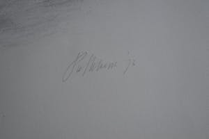 Piet Klaasse - Rustend Paard kopen? Bied vanaf 60!