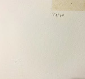 Leonor Fini - Aquatint La Sorcière sur le Balai kopen? Bied vanaf 50!