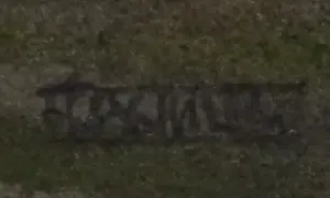 Franklin Meijer - Terschelling - Haven West 2 x kavel kopen? Bied vanaf 50!