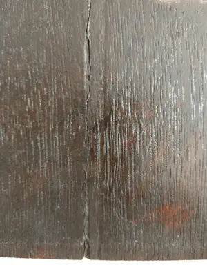 Ellis Tertoolen - Klassiek damesportret in profiel kopen? Bied vanaf 250!