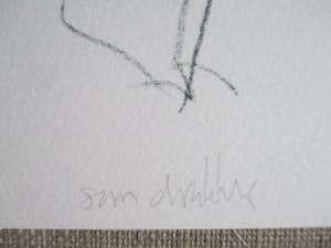 Sam Drukker - litho MET BOEK! kopen? Bied vanaf 65!