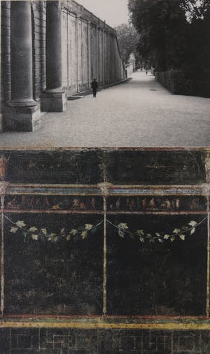 Mark Luyten - Foto, Serre V - Ingelijst (Groot) kopen? Bied vanaf 1!