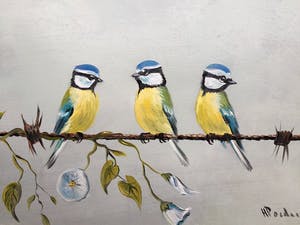 Henk Poeder - Pimpelmeesjes kopen? Bied vanaf 119!