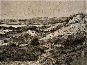 Martin van Waning - Mooie grote Droge Naald Ets - de Kust op Schiermonnikoog - gesigneerd kopen? Bied vanaf 29!