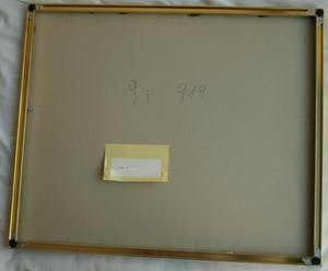 Paul Huf - Foto , Flowers : Gele Narcissen – gesigneerd & ingelijst - 1984 kopen? Bied vanaf 1!