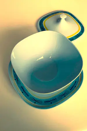 De Sphinx - Royal Sphinx sauskom met deksel – decor “Libel” – Maastricht – jaren ’60 kopen? Bied vanaf 27!