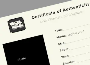 Lidiia Khaikara - Abstract Naakt 4 - INGELIJST kopen? Bied vanaf 160!