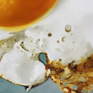 Tjalf Sparnaay - Ei / Egg kopen? Bied vanaf 365!