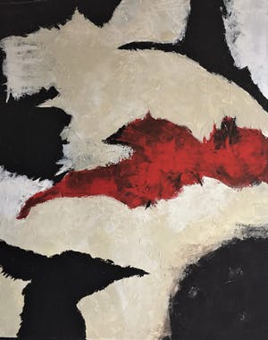 John Foppen - Birds Over Snowland.........# K 04. XL kopen? Bied vanaf 155!