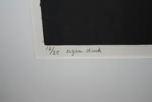 Marjan Smit - droge naald ets I - oplage slechts 25 - groot - kopen? Bied vanaf 1!