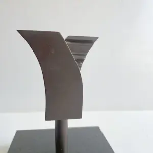 Harrie Lenferink - Abstract beeld kopen? Bied vanaf 99!