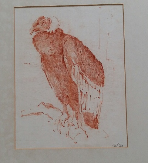 Hendrik Pieter Groen - roofvogel kopen? Bied vanaf 35!