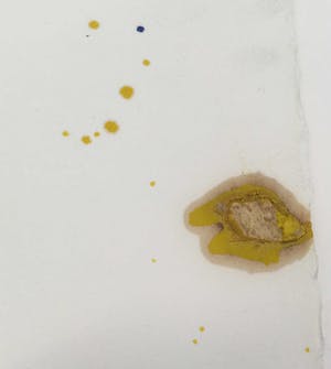 Anton Heyboer - Gemengde techniek op papier, Zonder titel (Zeer groot) kopen? Bied vanaf 1!