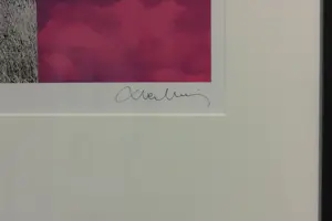 Francois Berthier - DRIE foto's inclusief lijsten uit de serie Remorque kopen? Bied vanaf 50!