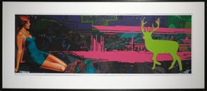 Alfred Degens - Lambdaprint, Oh dear - Ingelijst (Zeer groot) kopen? Bied vanaf 35!