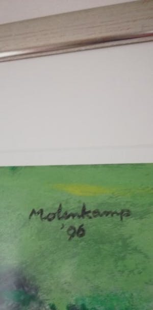 Nico Molenkamp - Blauw vogel kopen? Bied vanaf 200!