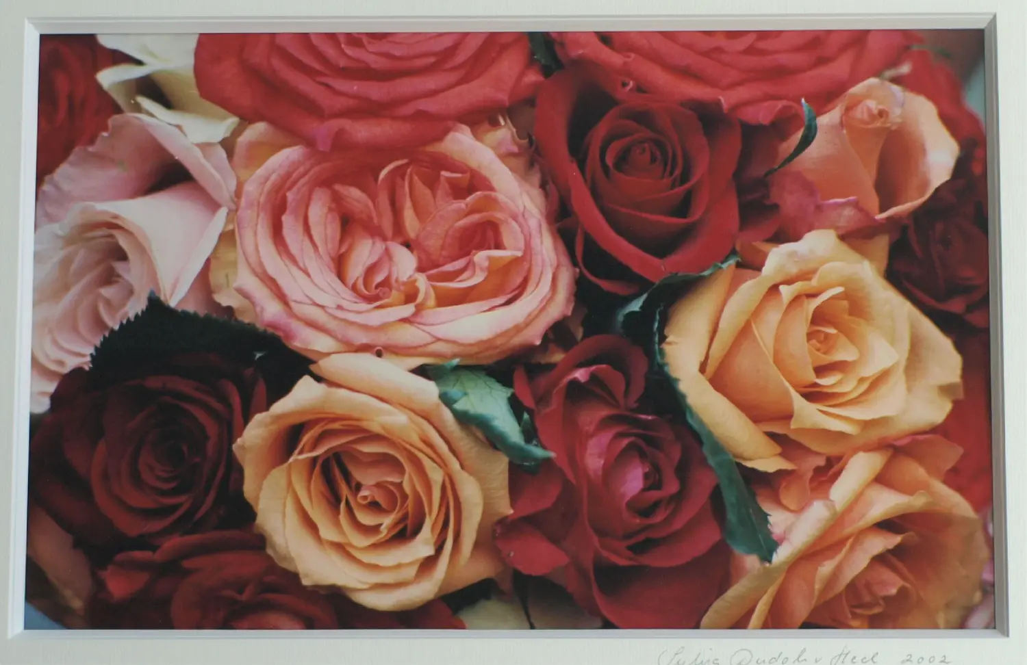 Sylvia Dudok van Heel (1961-2002)