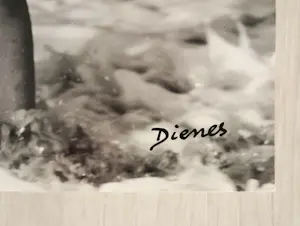 André De Dienes - Marilyn Monroe, 1945 - original VINTAGE-Photographie - handsigniert kopen? Bied vanaf 1000!