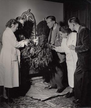 Jo Bokma - Tropisch Instituut kopen? Bied vanaf 20!