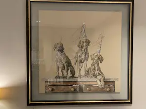 Corstiaan de Vries - The party kopen? Bied vanaf 2995!