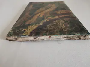 Niet of onleesbaar gesigneerd - Roofvogel bij het nest kopen? Bied vanaf 10!