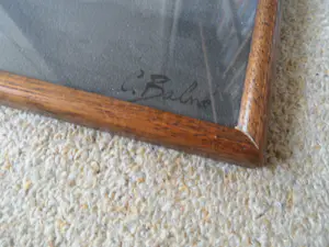 Constantia Arnolda Balwe - Lithodruk - Bloemstilleven kopen? Bied vanaf 35!