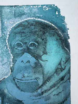 Robert Wolfgang Schnell - Gesigneerde ets/aquatint – R. Schnell “aap” 1974 kaufen? Bieten Sie von 35!