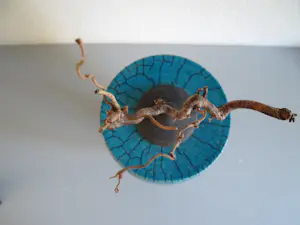 Anke van der Kwaak - Raku aarde lucht en vuur kopen? Bied vanaf 75!