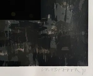 Bert Vredegoor - handgesigneerde kleurenlitho | 'Zie de maan' | 1991 kopen? Bied vanaf 35!