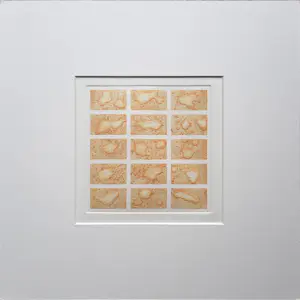 Thomas Ankum - Fotopolymeerets in passe-partout - 25710 kopen? Bied vanaf 75!