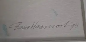 Bas Haasnoot - Steltloper kopen? Bied vanaf 20!