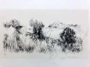 Metten Koornstra - Duinlandschap verkocht voor € 45!