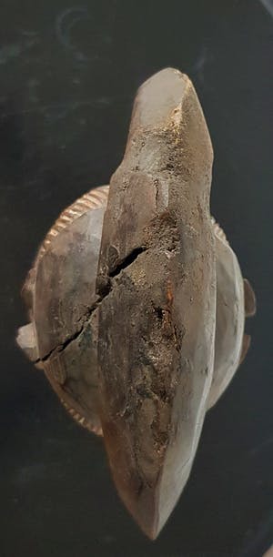 Baule - Een Afrikaans beeld met twee gezichten kopen? Bied vanaf 210!