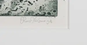 Rins Heidema - Ets, Aeroliet kopen? Bied vanaf 1!