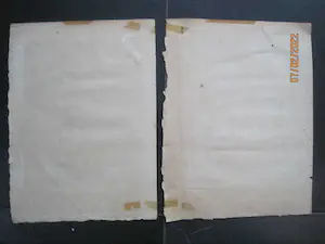 Elisabeth Haussard - "Abricot commun" ; "Abricot de Hollande" kopen? Bied vanaf 50!