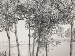 Charles Donker - ets - 'Landschap met twee stokken, Rhijnauwen' - PROEFDRUK IIe staat - 1970 kopen? Bied vanaf 480!