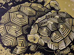 Gerard Gaudaen - Mooie kleuren Houtsnede "schildpadden" - gelimt. oplage (67/225) - potloodges. kopen? Bied vanaf 34!