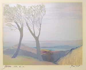 Fred Koot - Fred Koot, litho, titel Yadava. oplage 23/48 beeldformaat 34.7 x 44.3 cm. verkocht voor € 50!