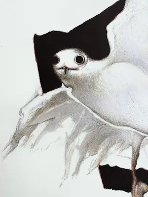 Octave Landuyt - Möwe – Seltener signierter und nummerierter Druck kopen? Bied vanaf 150!